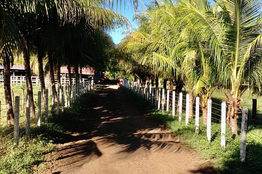 Tour image 7